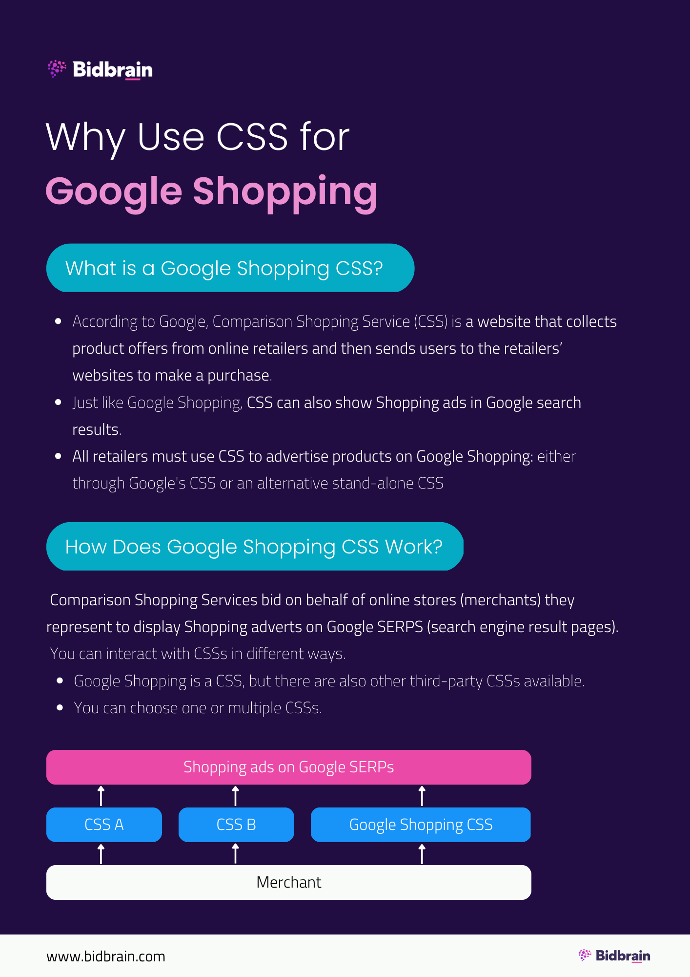 What is Google Shopping CSS